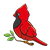 Cardinal Color PNG