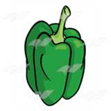 Green Bell Pepper 2
