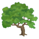 Leafy Tree 