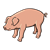 Pig with Curly Tail Color PNG