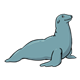 Gray Seal sitting up