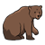 Brown Bear Color PNG