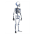 Skeleton Color PDF