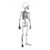 Skeleton Line PDF