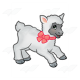 Gray Lamb