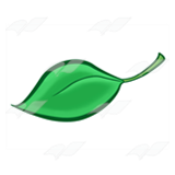 One Green Leaf