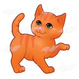 Orange-Striped Kitten