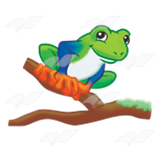 Tree Frog
