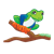 Tree Frog Color PNG
