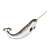 Narwhal Color PNG