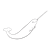 Narwhal Line PNG