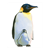 Emperor Penguin Color PDF