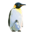 Emperor Penguin Color PNG