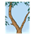 Eucalyptus Tree Color PDF