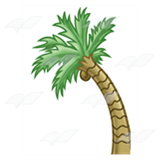 Bent Palm Tree