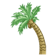 Bent Palm Tree 