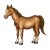 Brown Horse Color PNG