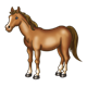 Brown Horse standing sideways