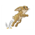 Hopping Rabbit Color PDF