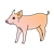 Pig Standing Color PNG
