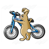 Bunny with a Bicycle
