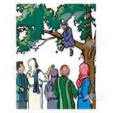 Zacchaeus in a Tree