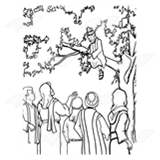 Zacchaeus in a Tree