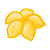 Yellow Flower Head Color PDF