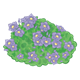 Bush of Purple Flowers 