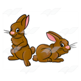 Brown Rabbits