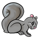Gray Squirrel crouching