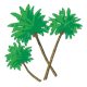 Palm Trees three