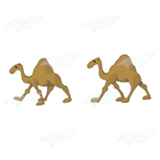 Tan Camels