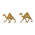 Tan Camels Color PDF