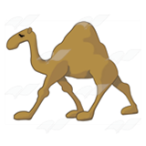 Tan Camel