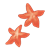 Orange Starfish Color PNG
