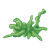Green Seaweed Color PNG