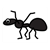 Black Ant Color PDF