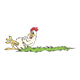 Chicken  sitting on grass with legs crossed