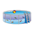 Pool Color PNG