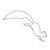 Squirrel Line PNG