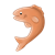 Orange Fish Color PNG