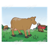 Three Cows in a Pasture