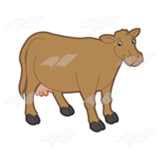 Standing Brown Cow