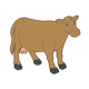 Standing Brown Cow 