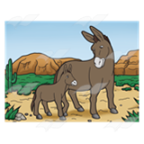 Donkeys in Desert