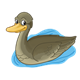Mama Duck swimming in water