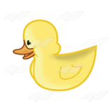Yellow Duckling 4