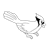 Blue Jay 1 Line PNG