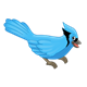 Blue Jay 1 